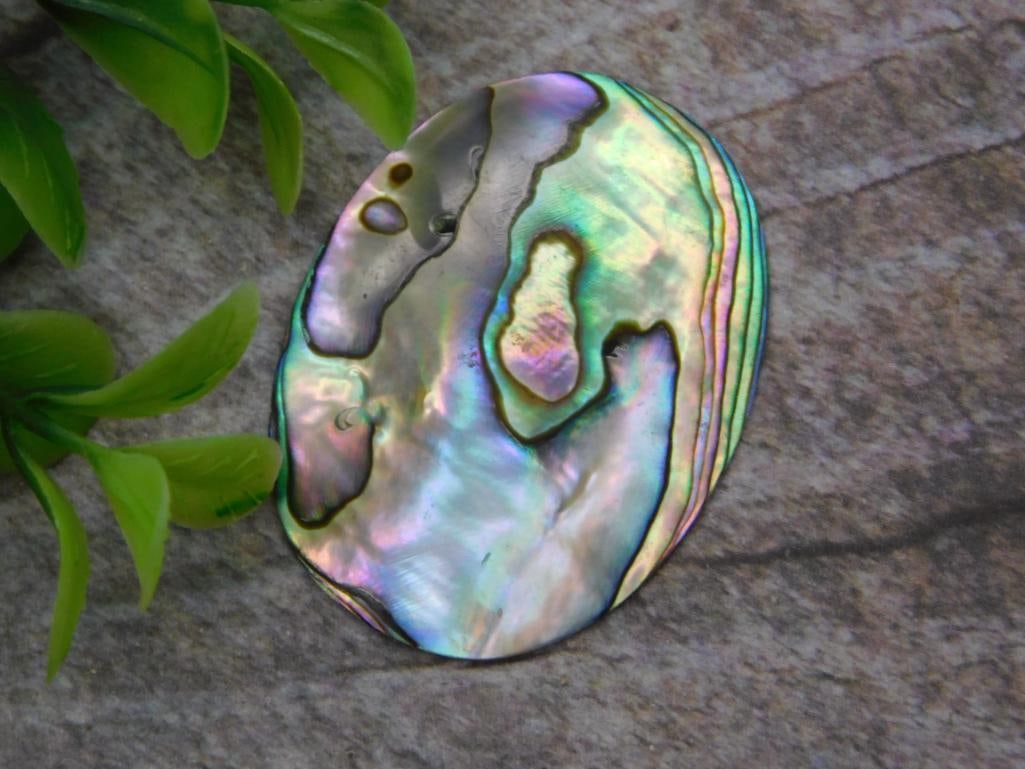 ABALONE CABOCHON ROCK STONE LAPIDARY SPECIMEN (1 of 2)