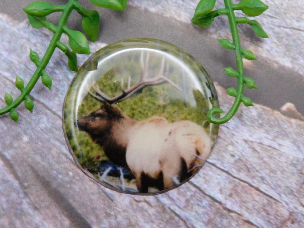 ELK CABOCHON ROCK STONE LAPIDARY SPECIMEN (1 of 2)