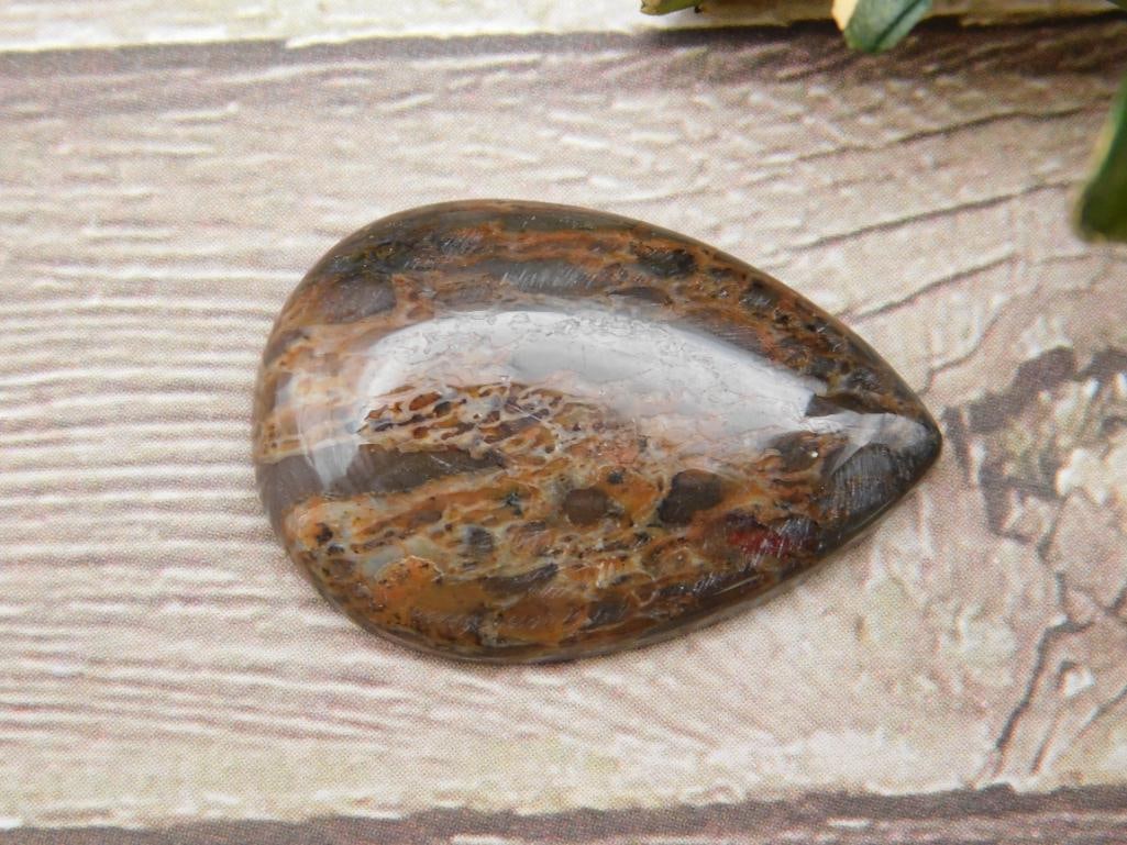 DINOSAUR BONE CABOCHON ROCK STONE LAPIDARY SPECIMEN (1 of 2)