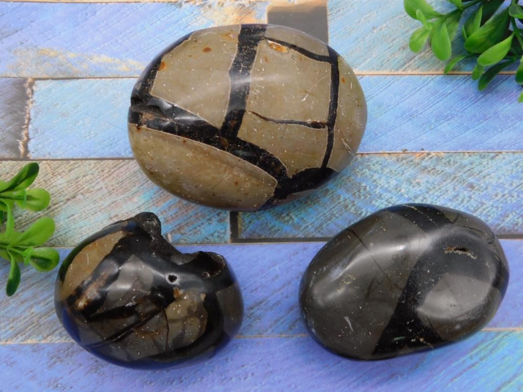 SEPTARIAN ROCK STONE LAPIDARY SPECIMEN (1 of 2)