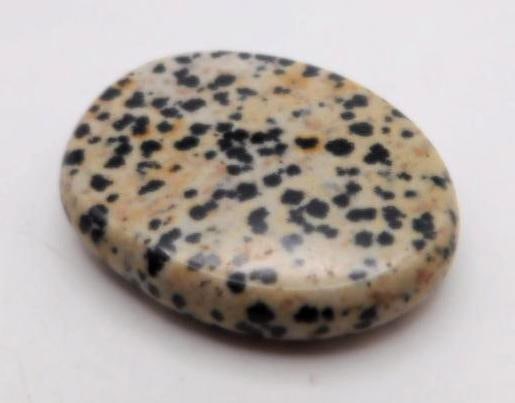 DALMATION JASPER AGATE ROCK STONE LAPIDARY SPECIMEN: DALMATION JASPER AGATE ROCK STONE LAPIDARY SPECIMEN