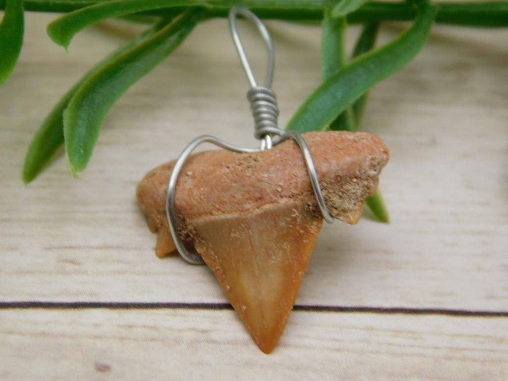 SPECIAL JEWELRY SALE! SEE PHOTOS FOR DETAILS: SPECIAL JEWELRY SALE! SEE PHOTOS FOR DETAILS