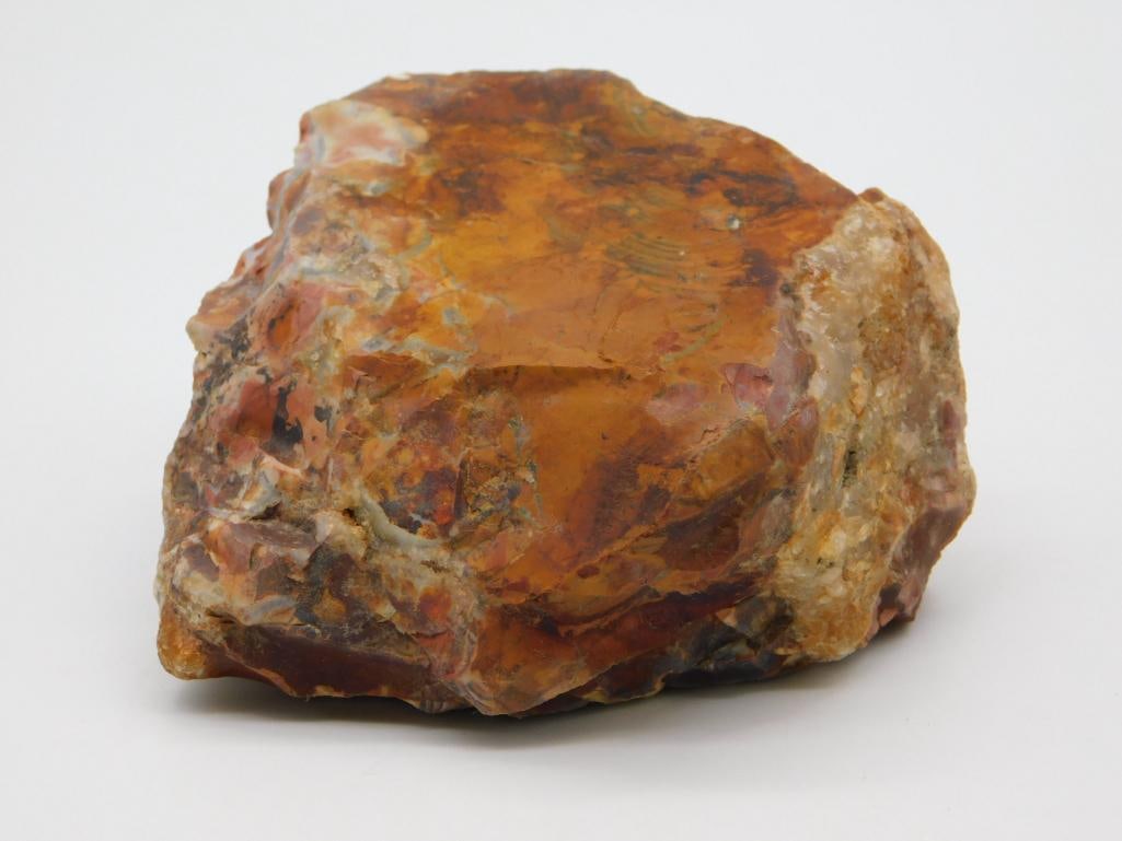 CHERT ROCK STONE LAPIDARY SPECIMEN (1 of 2)
