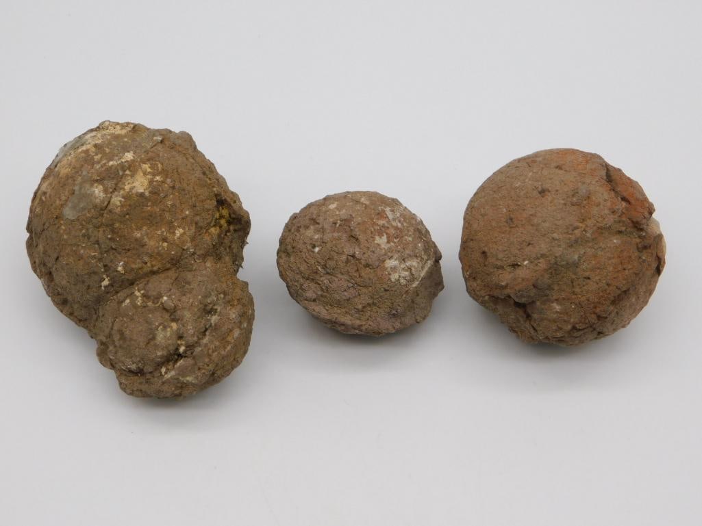 COPROLITE ROCK STONE LAPIDARY SPECIMEN (1 of 2)