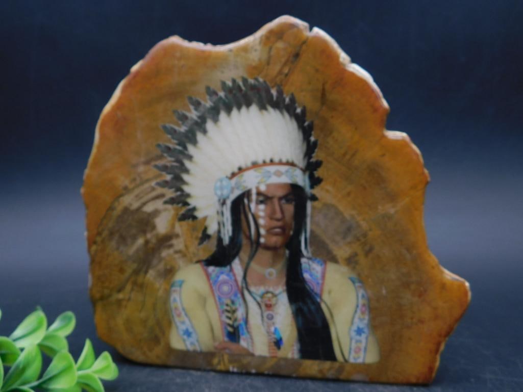 PETRIFIED WOOD SLAB WITH CHIEF ROCK STONE LAPIDARY SPECIMEN (1 of 2)