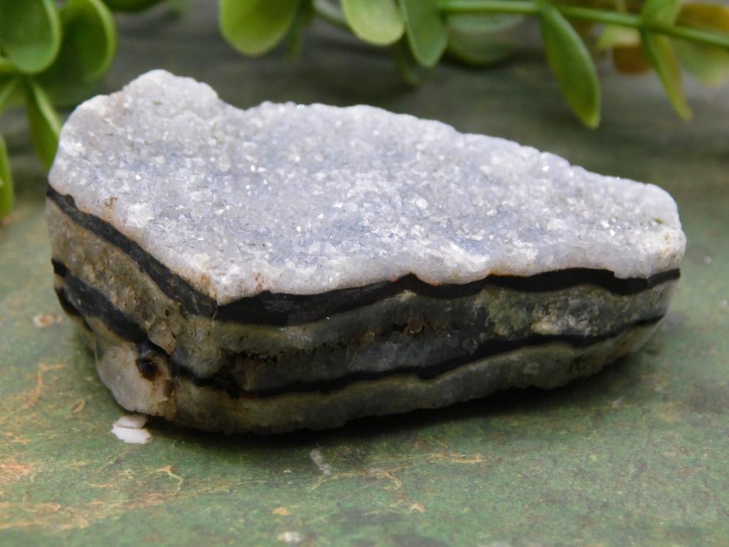 Zebra Rock Black and White Patterned Rock Specimen ROCK STONE LAPIDARY SPECIMEN (1 of 3)