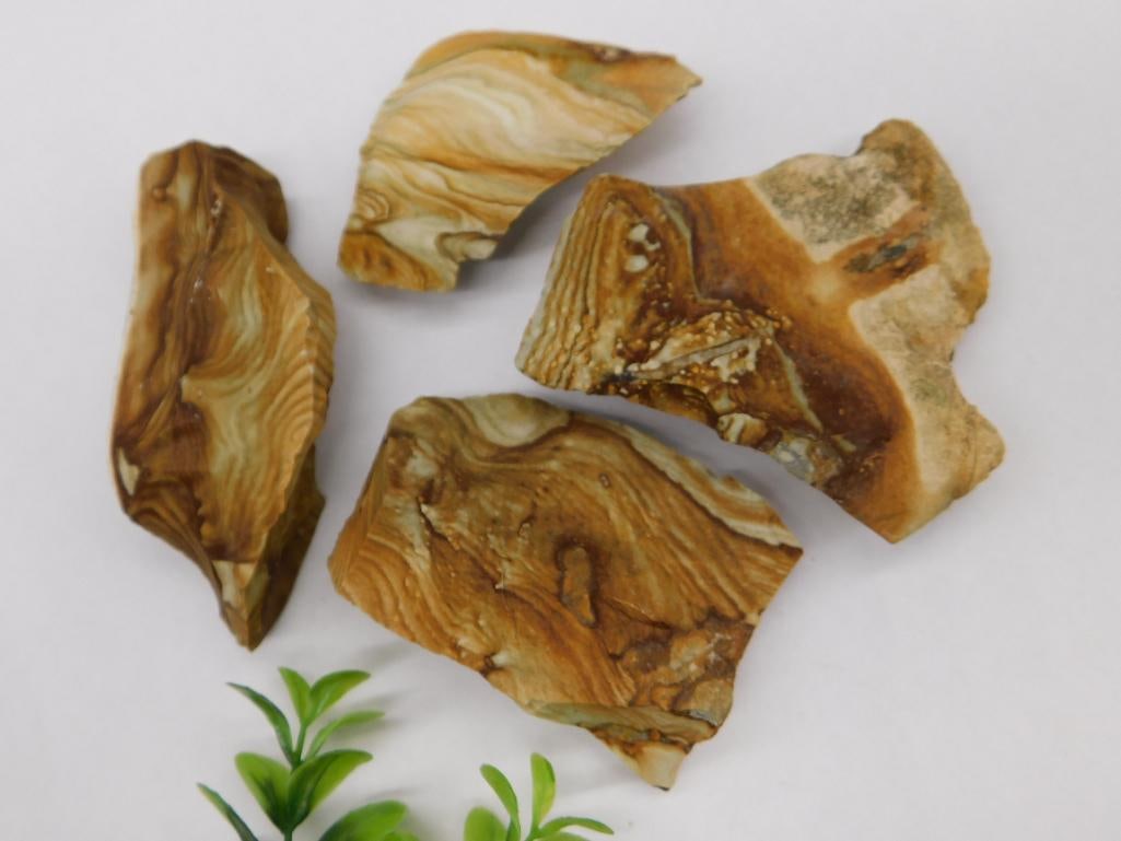 Jasper Rock Stone Lapidary Specimen: Jasper Rock Stone Lapidary Specimen