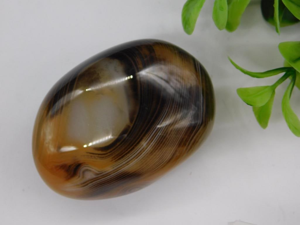 Sardonyx Rock Stone Lapidary Specimen: Sardonyx Rock Stone Lapidary Specimen