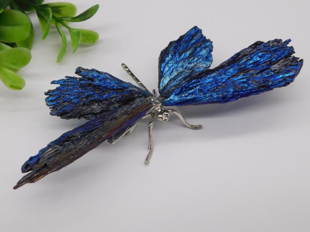 C BLUE KYANITE DRAGONFLY ROCK STONE LAPIDARY SPECIMEN (1 of 2)