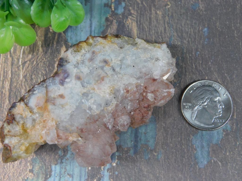 Rock Stone Lapidary Specimen: Rock Stone Lapidary Specimen