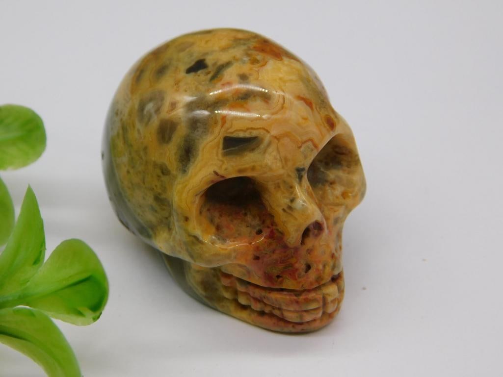 CRAZY LAGE AGATE SKULL ROCK STONE LAPIDARY SPECIMEN (1 of 2)