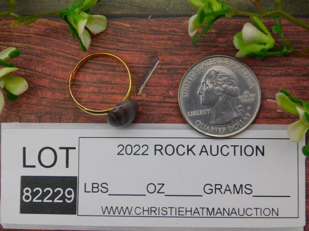 BOTSWANA AGATE RING ROCK STONE LAPIDARY SPECIMEN - 2