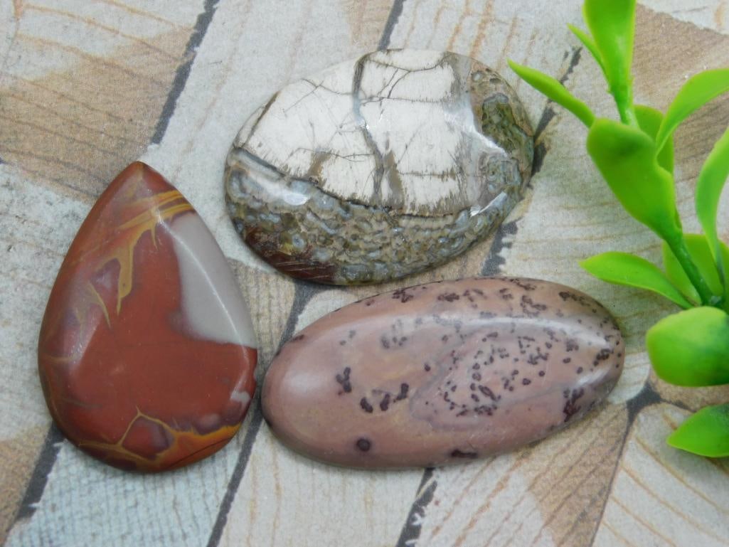 CABOCHONS ROCK STONE LAPIDARY SPECIMEN: CABOCHONS ROCK STONE LAPIDARY SPECIMEN