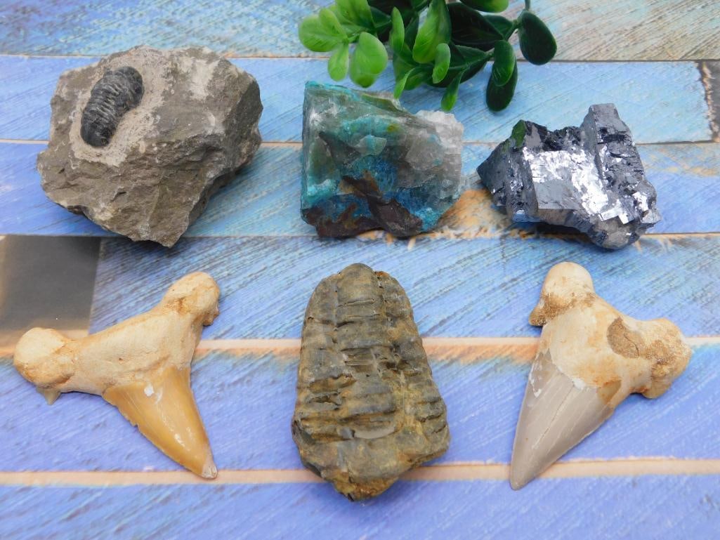 MIXED LOT ROCK STONE LAPIDARY SPECIMEN (1 of 5)