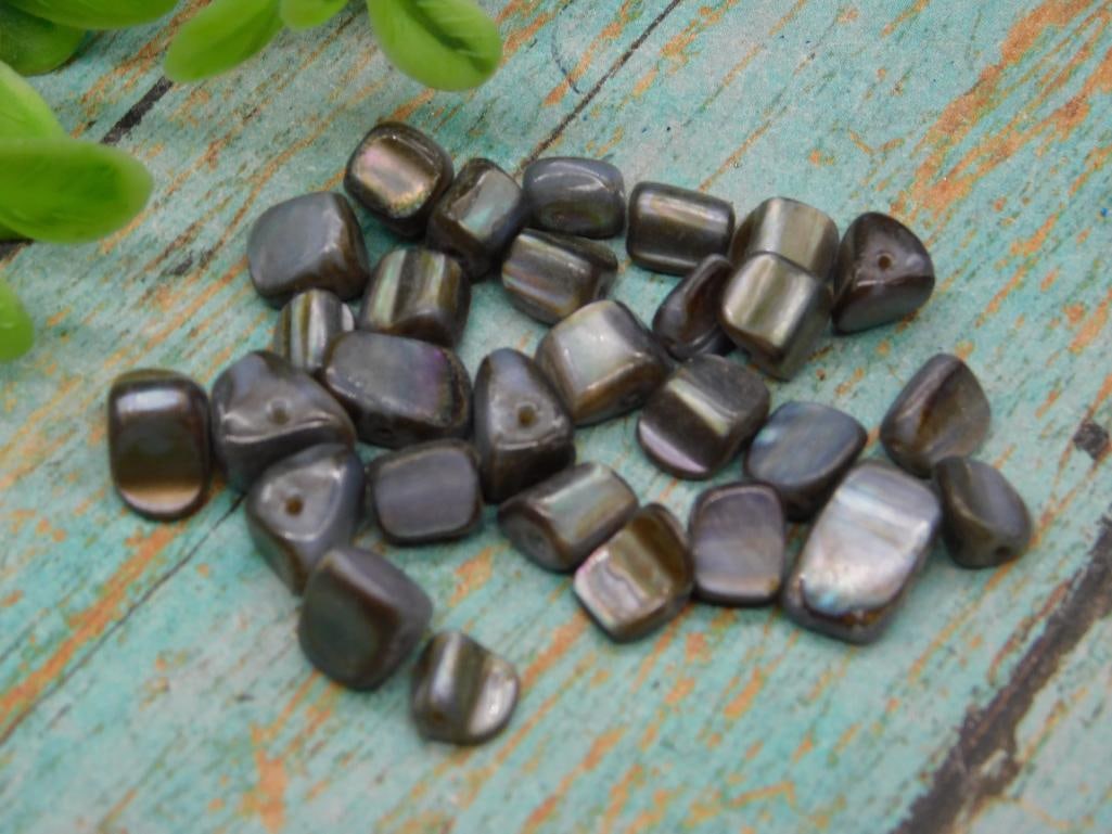 SHELL BEADS: SHELL BEADS