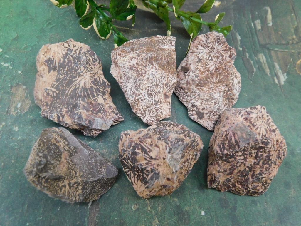 STARBURST JASPER ROCK STONE LAPIDARY SPECIMEN (1 of 2)