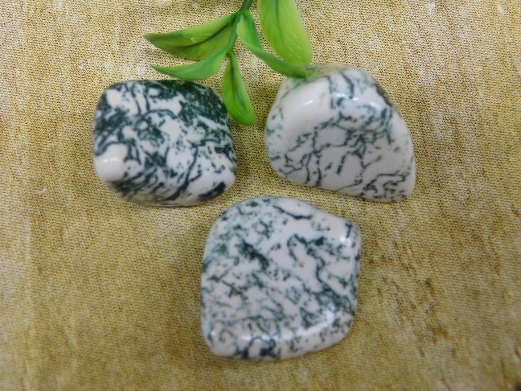 TREE AGATE ROCK STONE LAPIDARY SPECIMEN: TREE AGATE ROCK STONE LAPIDARY SPECIMEN