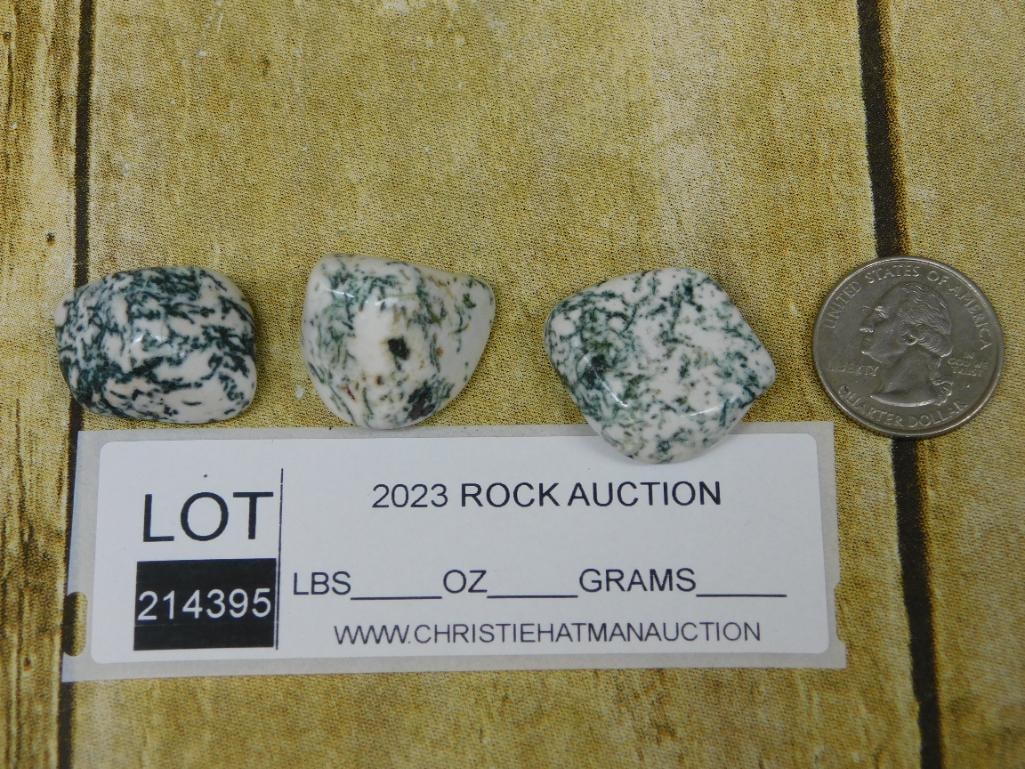 TREE AGATE ROCK STONE LAPIDARY SPECIMEN - 2