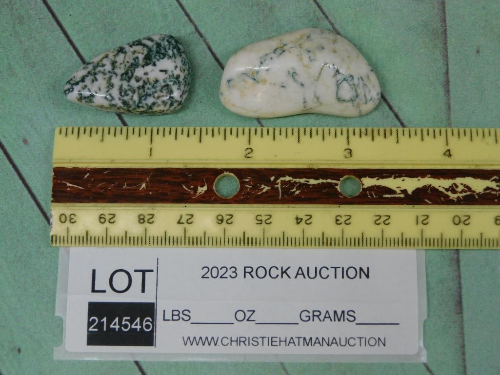 TREE AGATE ROCK STONE LAPIDARY SPECIMEN - 2