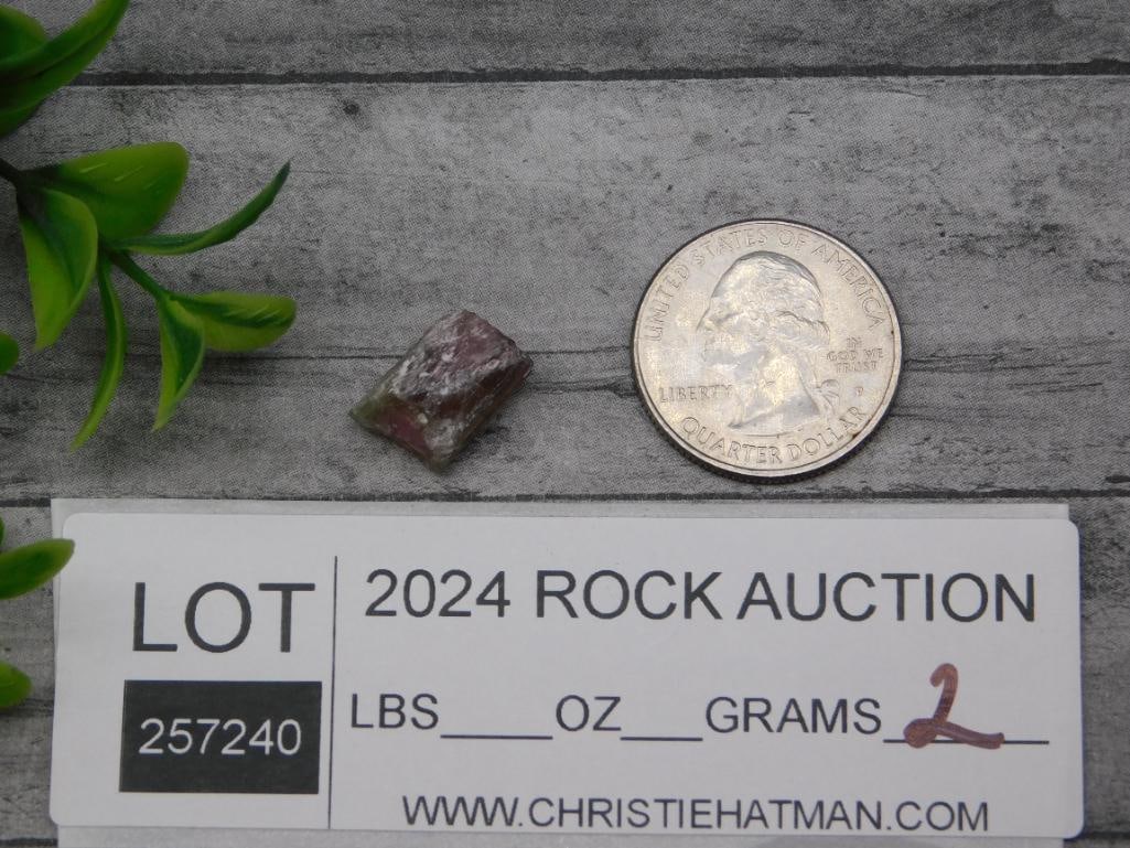 ROCK STONE LAPIDARY SPECIMEN - 2