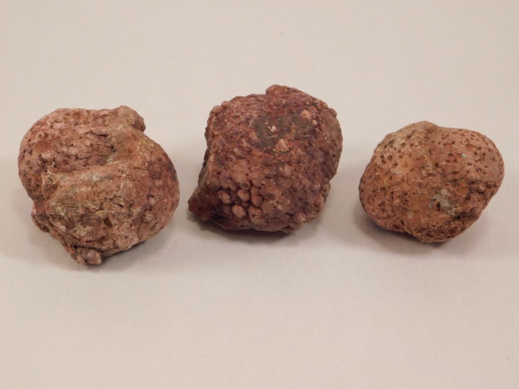 COPROLITE ROCK STONE LAPIDARY SPECIMEN (1 of 2)