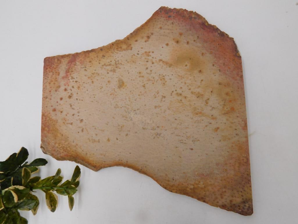 PETRIFIED PALM WOOD SLAB ROCK STONE LAPIDARY SPECIMEN: PETRIFIED PALM WOOD SLAB ROCK STONE LAPIDARY SPECIMEN