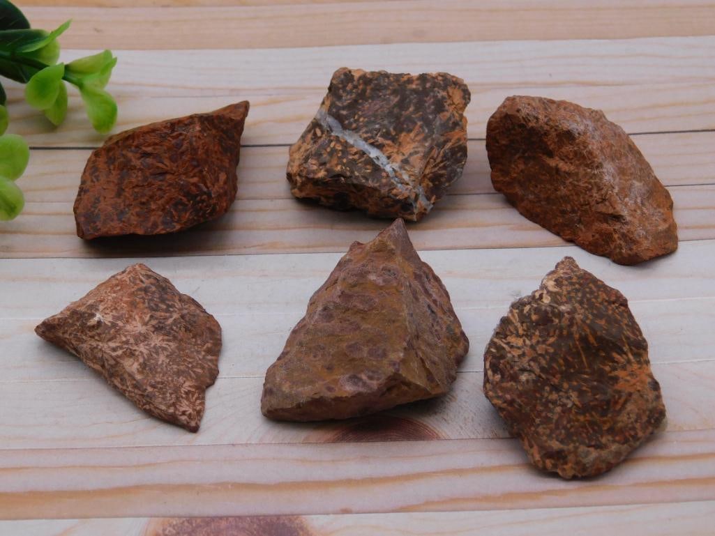 STARBURST JASPER ROCK STONE LAPIDARY SPECIMEN (1 of 2)