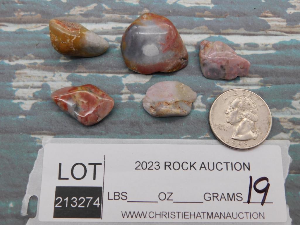 MOZARKITE ROCK STONE LAPIDARY SPECIMEN - 2