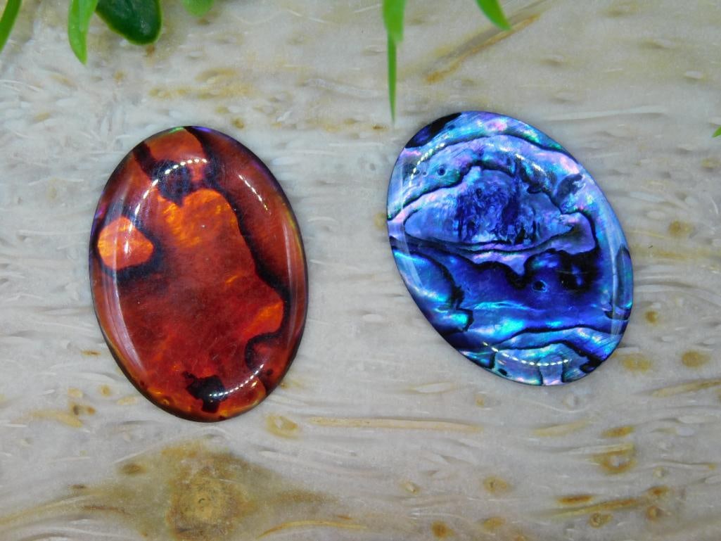 ABALONE CABOCHONS ROCK STONE LAPIDARY SPECIMEN: ABALONE CABOCHONS ROCK STONE LAPIDARY SPECIMEN