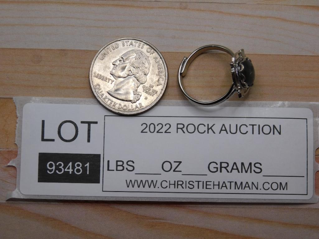 ABALONE RING ROCK STONE LAPIDARY SPECIMEN - 2