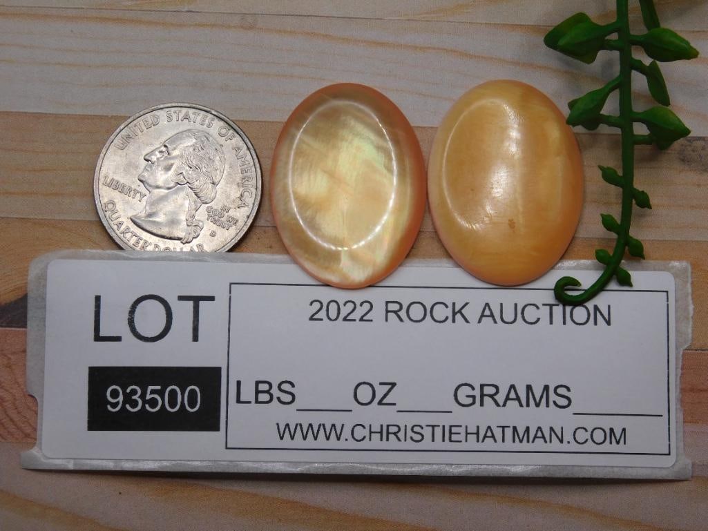 CABOCHONS ROCK STONE LAPIDARY SPECIMEN - 2