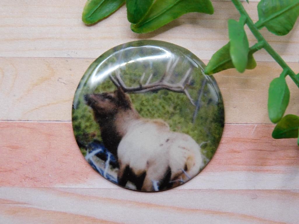 ELK CABOCHON ROCK STONE LAPIDARY SPECIMEN (1 of 2)