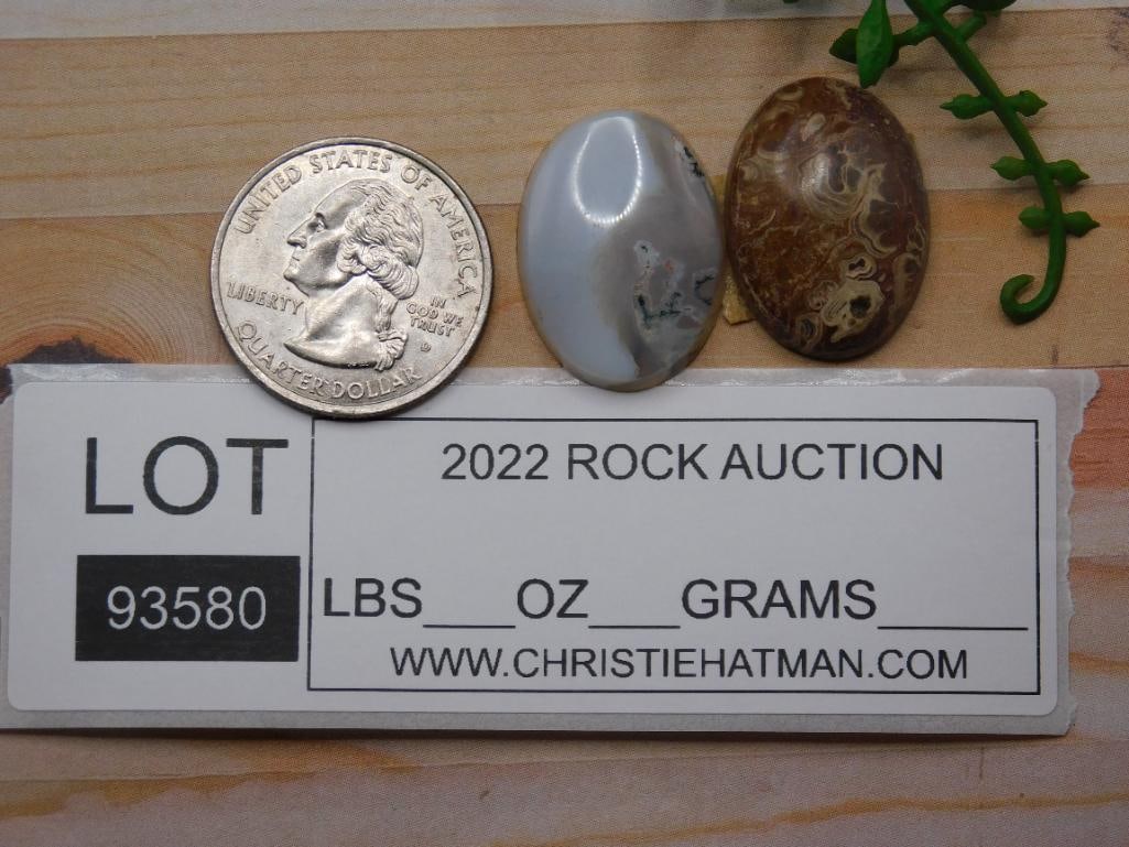 CABOCHONS ROCK STONE LAPIDARY SPECIMEN - 2