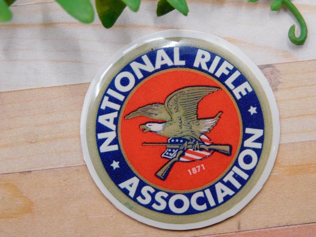 NRA CABOCHON ROCK STONE LAPIDARY SPECIMEN: NRA CABOCHON ROCK STONE LAPIDARY SPECIMEN