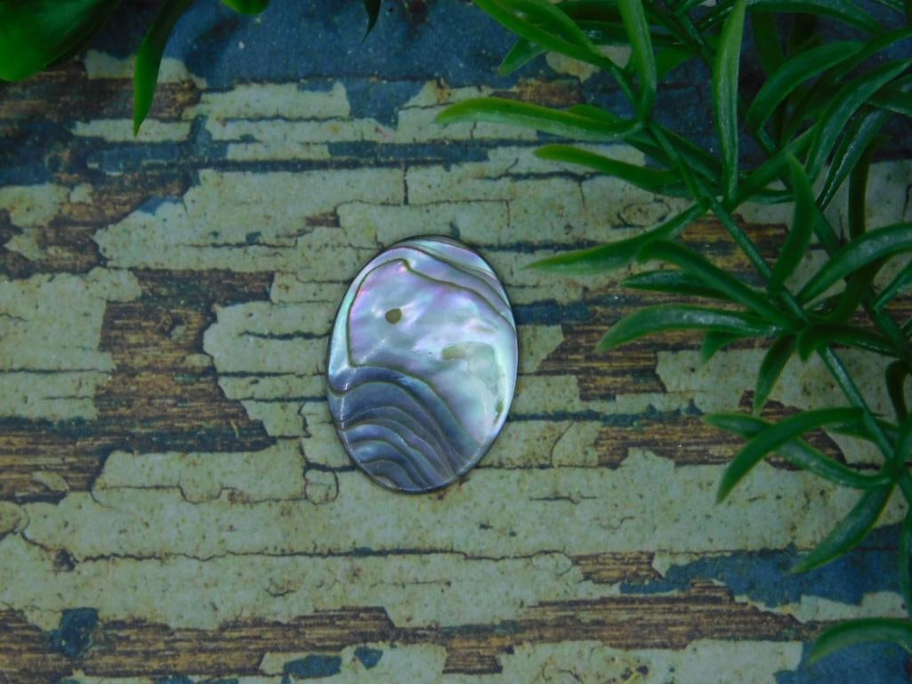 ABALONE CABOCHON ROCK STONE LAPIDARY SPECIMEN (1 of 3)