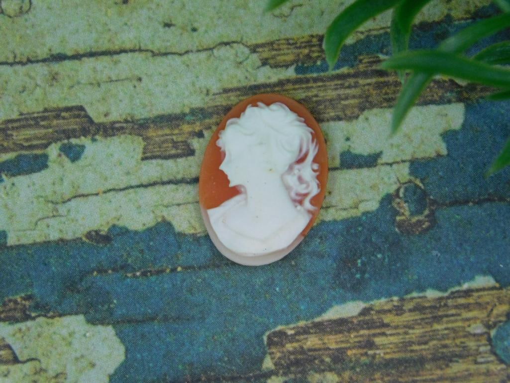 CAMEO CABOCHON ROCK STONE LAPIDARY SPECIMEN: CAMEO CABOCHON ROCK STONE LAPIDARY SPECIMEN