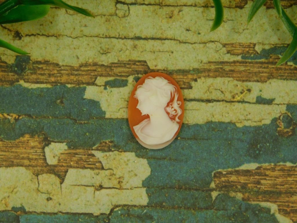 CAMEO CABOCHON ROCK STONE LAPIDARY SPECIMEN: CAMEO CABOCHON ROCK STONE LAPIDARY SPECIMEN