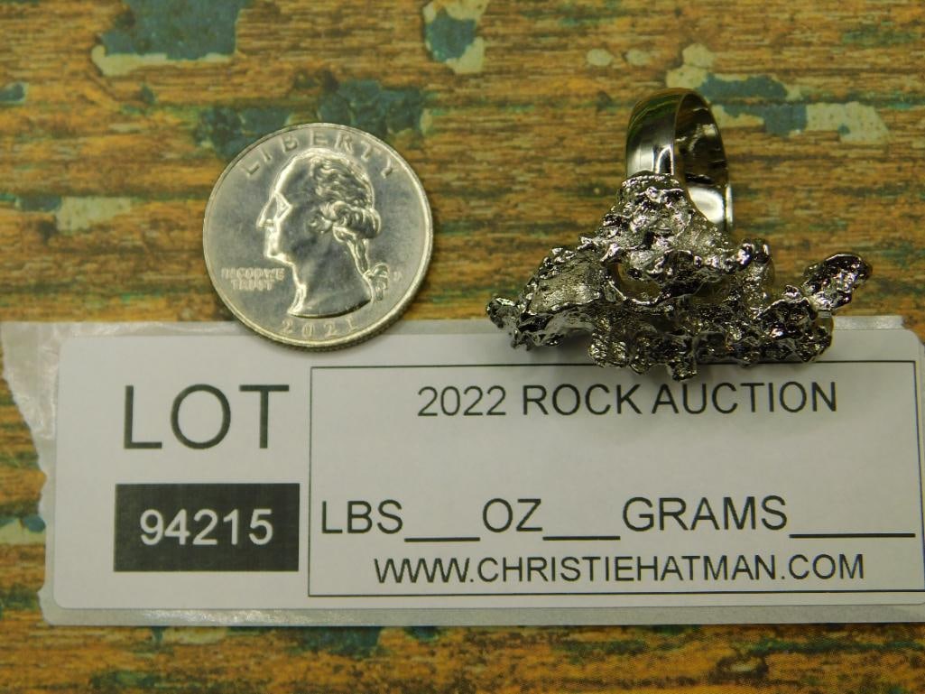 RING ROCK STONE LAPIDARY SPECIMEN - 4