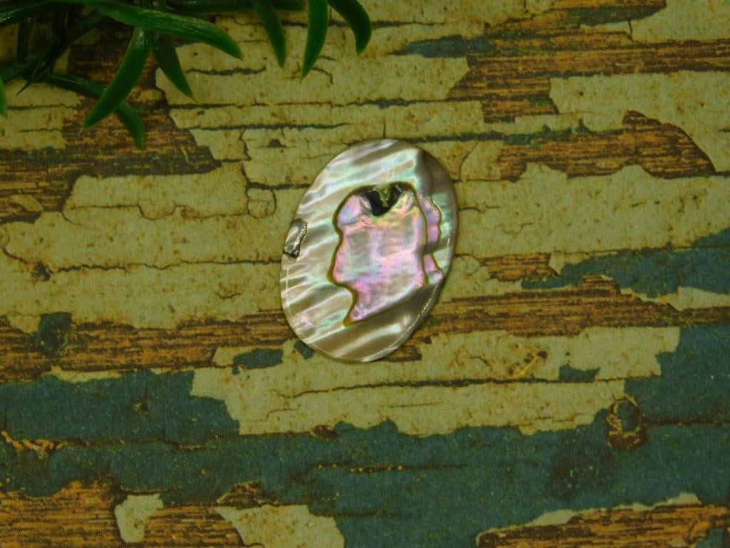 ABALONE CABOCHON ROCK STONE LAPIDARY SPECIMEN: ABALONE CABOCHON ROCK STONE LAPIDARY SPECIMEN