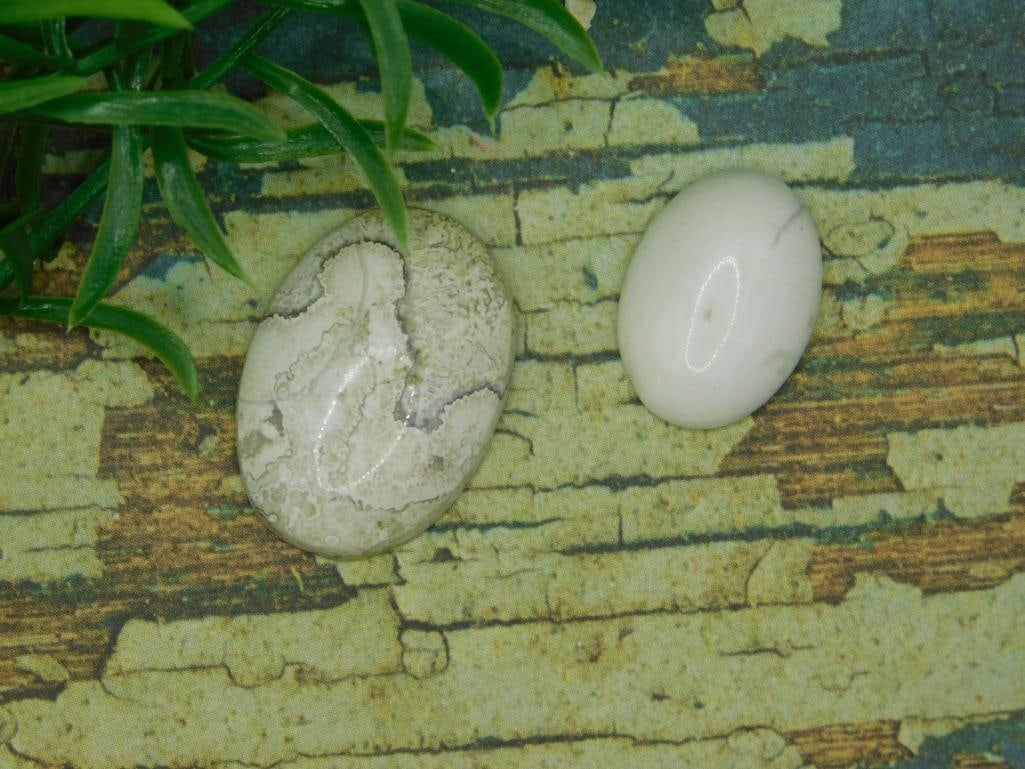 CABOCHONS ROCK STONE LAPIDARY SPECIMEN: CABOCHONS ROCK STONE LAPIDARY SPECIMEN