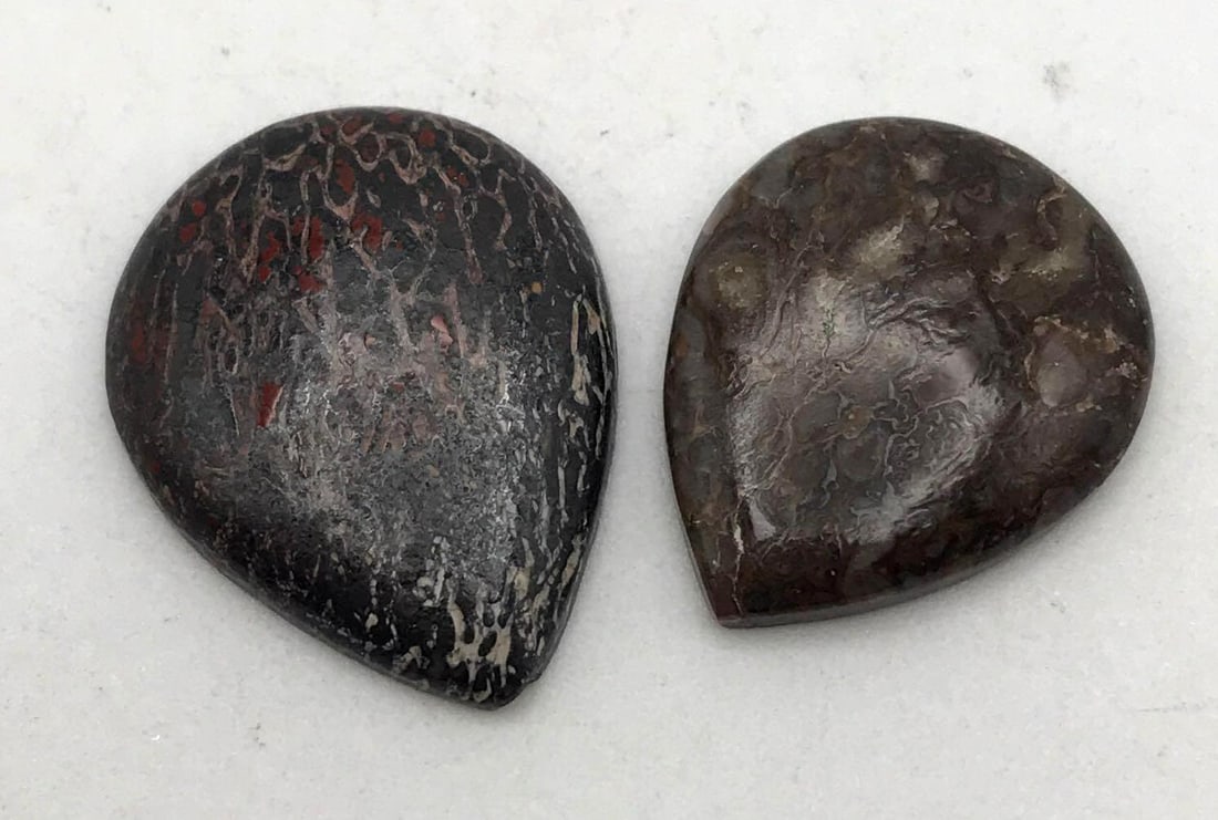 DINOSAUR BONE CAB (1 of 2)