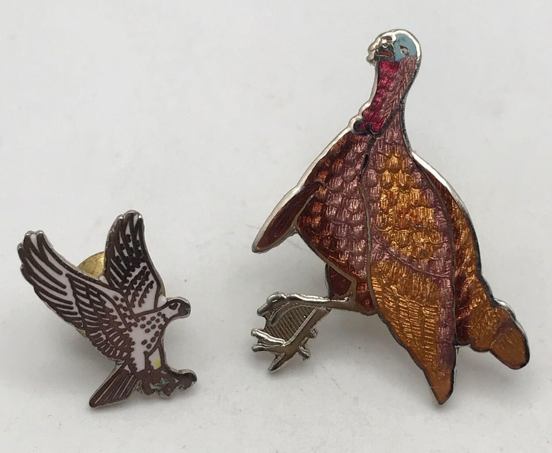 JEWELRY ROCK STONE LAPIDARY SPECIMEN: JEWELRY ROCK STONE LAPIDARY SPECIMEN