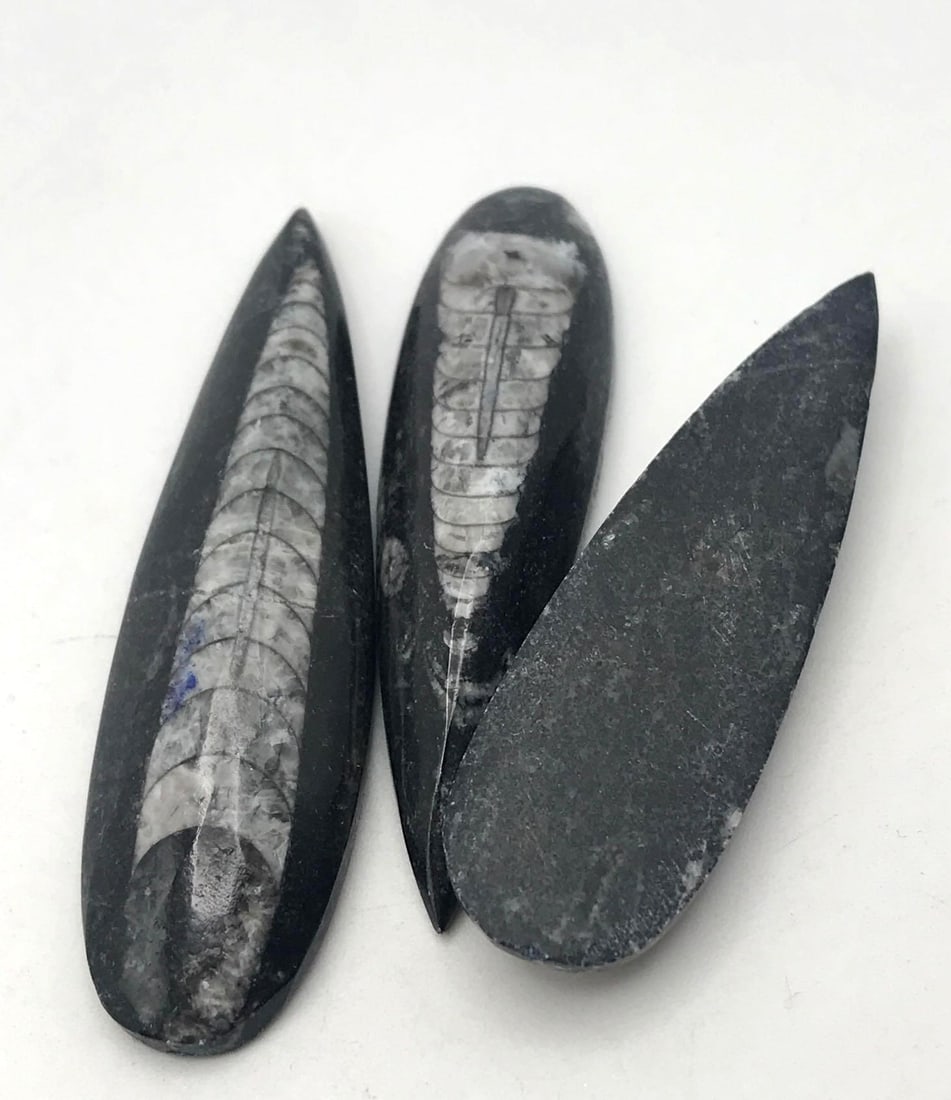 JEWELRY ROCK STONE LAPIDARY SPECIMEN: JEWELRY ROCK STONE LAPIDARY SPECIMEN