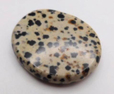 DALMATION JASPER AGATE ROCK STONE LAPIDARY SPECIMEN: DALMATION JASPER AGATE ROCK STONE LAPIDARY SPECIMEN