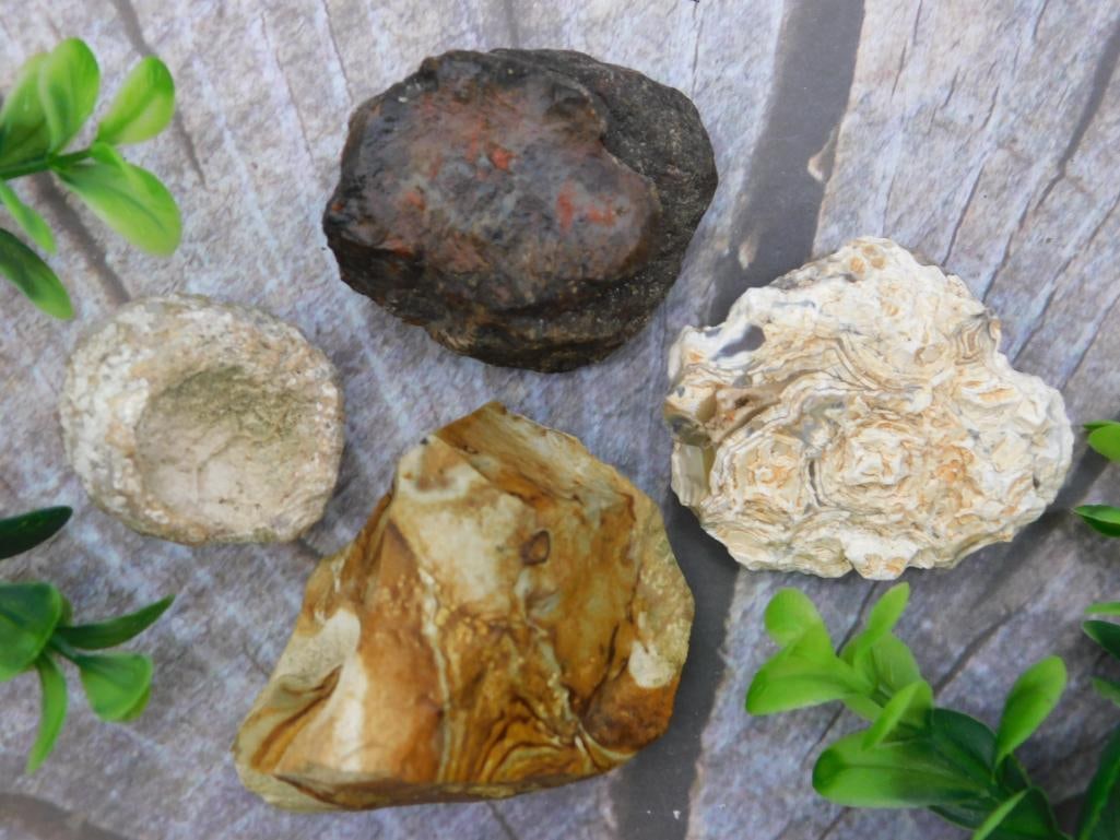 MIXED LOT ROCK STONE LAPIDARY SPECIMEN: MIXED LOT ROCK STONE LAPIDARY SPECIMEN