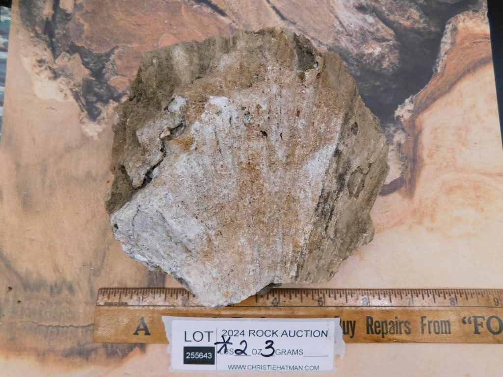 ROCK STONE LAPIDARY SPECIMEN - 2