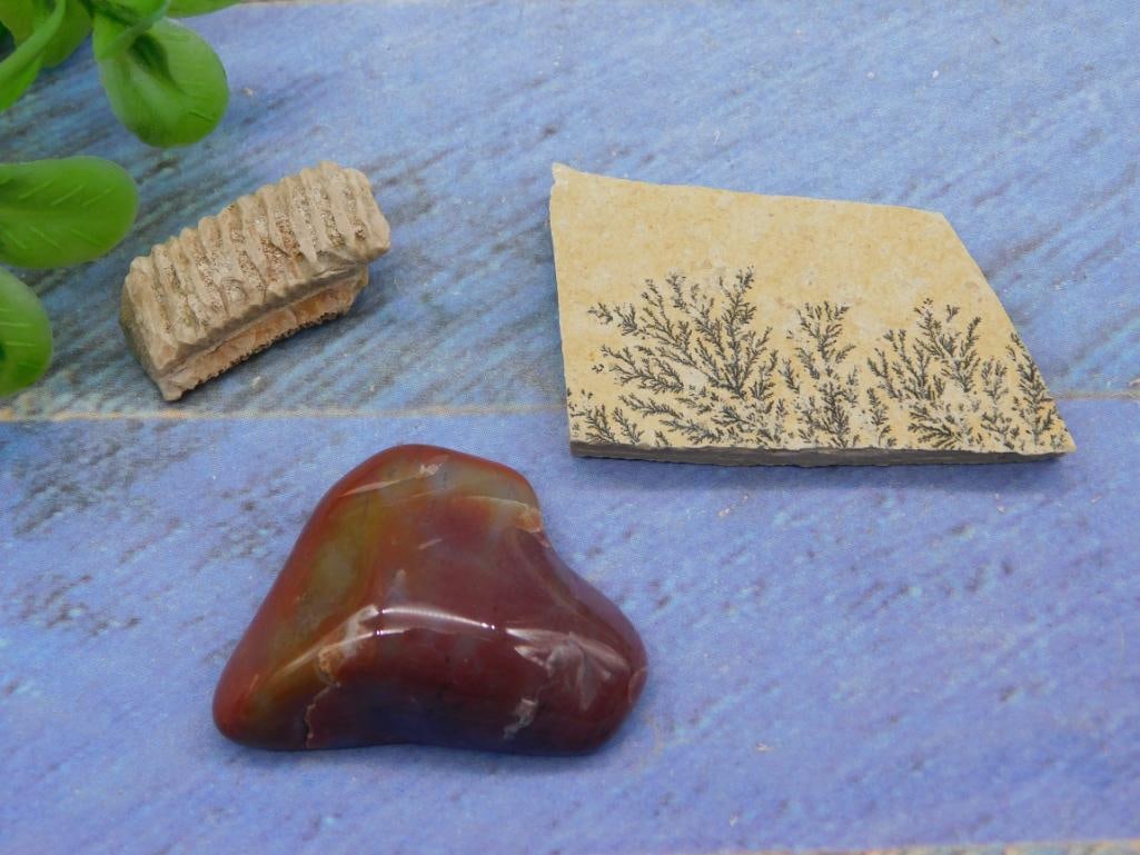 MIXED LOT ROCK STONE LAPIDARY SPECIMEN: MIXED LOT ROCK STONE LAPIDARY SPECIMEN