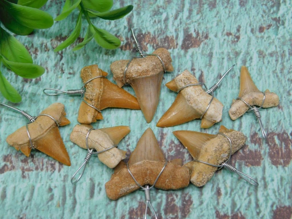 SHARK TEETH PENDANTS ROCK STONE LAPIDARY SPECIMEN: SHARK TEETH PENDANTS ROCK STONE LAPIDARY SPECIMEN