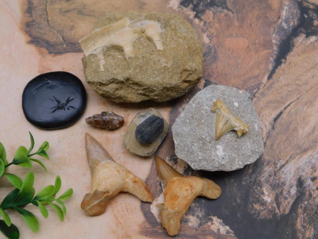 MIXED LOT ROCK STONE LAPIDARY SPECIMEN: MIXED LOT ROCK STONE LAPIDARY SPECIMEN