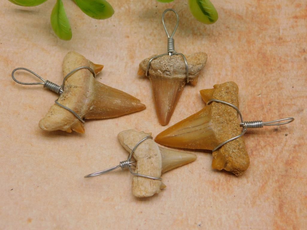 SHARK TEETH PENDANTS ROCK STONE LAPIDARY SPECIMEN: SHARK TEETH PENDANTS ROCK STONE LAPIDARY SPECIMEN